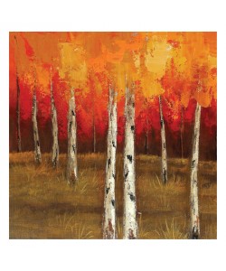 Sunny, GOLDEN BIRCH I