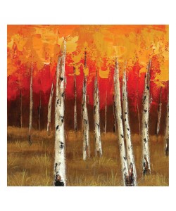 Sunny, GOLDEN BIRCH II