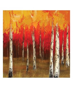 Sunny, GOLDEN BIRCH III