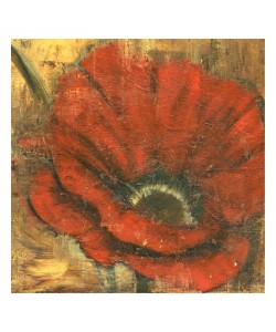 Linda Davey, RED POPPIE II