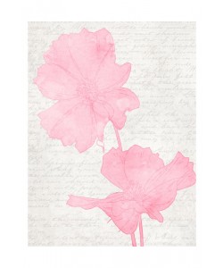 Taylor Greene, LOVELY PINK I