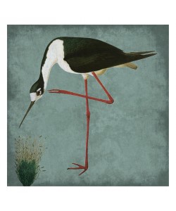 Sheldon Lewis, NATURAL BALANCE II