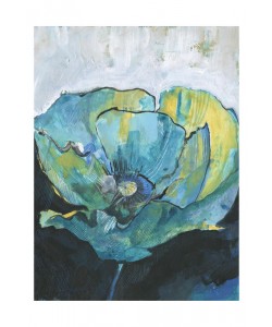 Smith Haynes, TURQUOISE