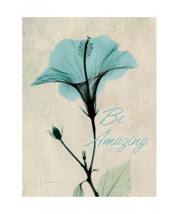 Albert Koetsier, AMAZING I