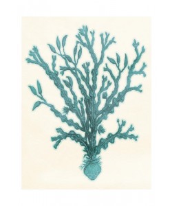 Jace Grey, BLUE SOLID BEACH I