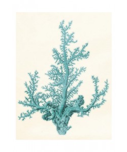 Jace Grey, BLUE SOLID BEACH II