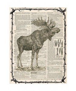 Tina Carlson, ELK III