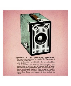 Tina Carlson, RETRO CAMERA
