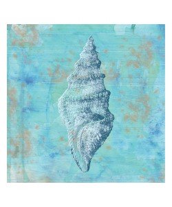 Tony Pazan, MINT MUSSEL III