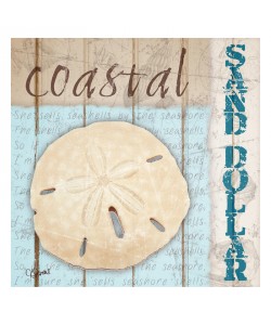 Carole Stevens, SAND DOLLAR