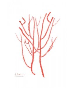 Albert Koetsier, SEA GRASS RED II