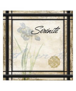 Jace Grey, SERENITE II