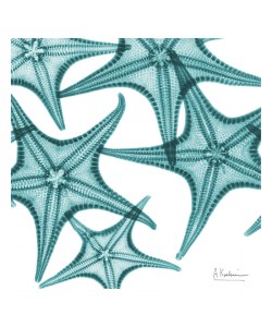 Albert Koetsier, STARFISH TURQUOISE II