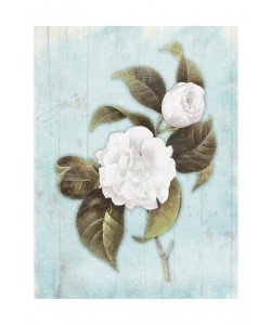 Jace Grey, LIGHT BLUE FLORAL I