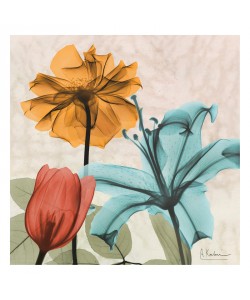 Albert Koetsier, COLOR MIX I