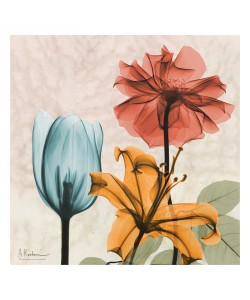 Albert Koetsier, COLOR MIX II