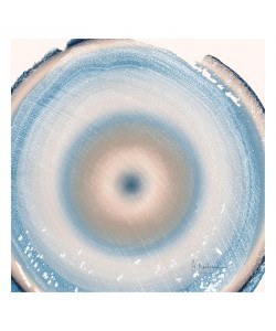 Albert Koetsier, RINGS SOFT II