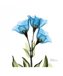 Albert Koetsier, BLUE TONE I