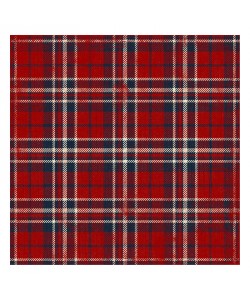 Jace Grey, RED BLACK BLUE PLAID II