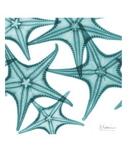 Albert Koetsier, STARFISH TURQUOISE II