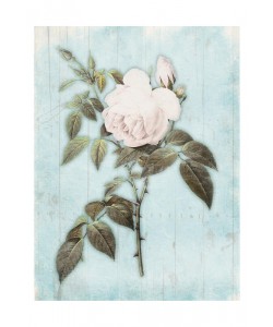 Jace Grey, LIGHT BLUE FLORAL II