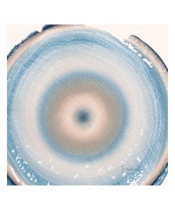 Albert Koetsier, RINGS SOFT II