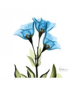 Albert Koetsier, BLUE TONE I