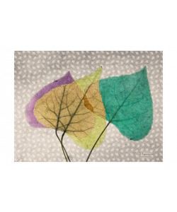 Albert Koetsier, PLAY OF COLORS III