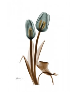 Albert Koetsier, TULIP MIX QUARTET I