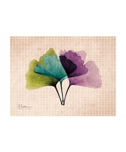 Albert Koetsier, PLAY OF COLORS IV