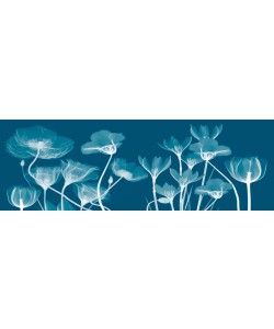 Albert Koetsier, FLORA PANEL BLUE