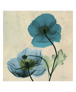 Albert Koetsier, POPPY BLUE II