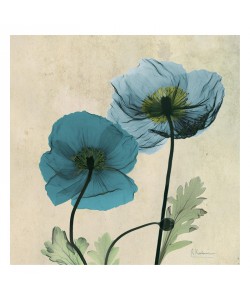 Albert Koetsier, POPPY BLUE I
