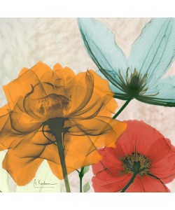 Albert Koetsier, COLOR MIX IV