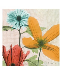 Albert Koetsier, COLOR MIX V