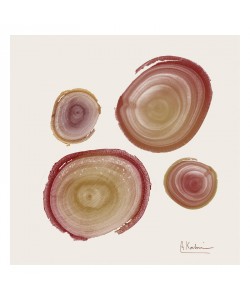 Albert Koetsier, RINGS RED II