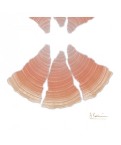 Albert Koetsier, RINGS APRICOT I