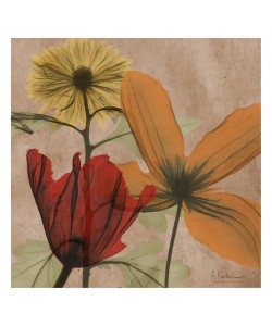 Albert Koetsier, MULTI COLOR IV