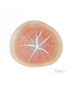 Albert Koetsier, RINGS APRICOT II
