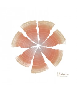 Albert Koetsier, RINGS APRICOT III