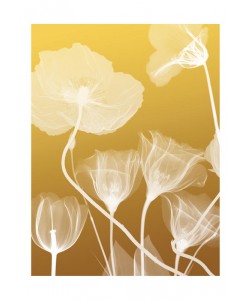 Albert Koetsier, FLORA YELLOW I