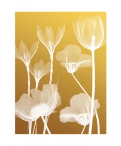 Albert Koetsier, FLORA YELLOW II