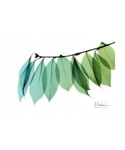 Albert Koetsier, BLUE AND GREEN I