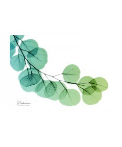 Albert Koetsier, BLUE AND GREEN II