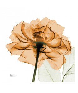 Albert Koetsier, FLOWERS IN ORANGE III