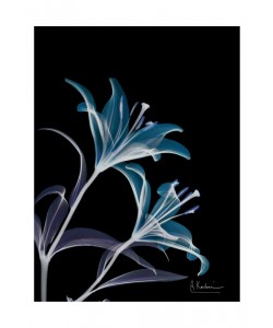 Albert Koetsier, LIGHT V