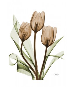 Albert Koetsier, TULIPS MIX QUARTET II