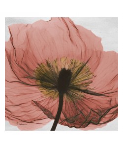 Albert Koetsier, FLOWERS IN RED VI