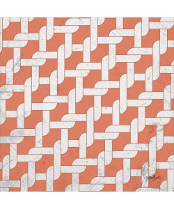 Diane Stimson, LATTICE ORANGE II