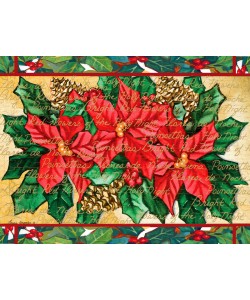 Laurie Korsgaden, POINSETTIAS